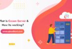 What Is Cccam Server