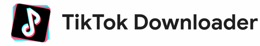 TikTok Downloader