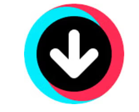 TikTok Video Keeper