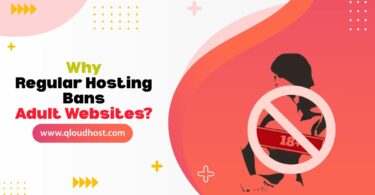 Why Regular Hosting Bans Adult Websites?