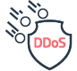 Anti-DDoS Protection